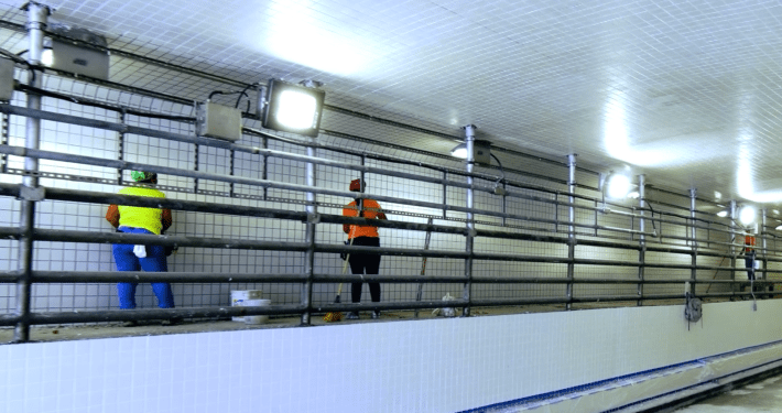 Harvey Tunnel Project